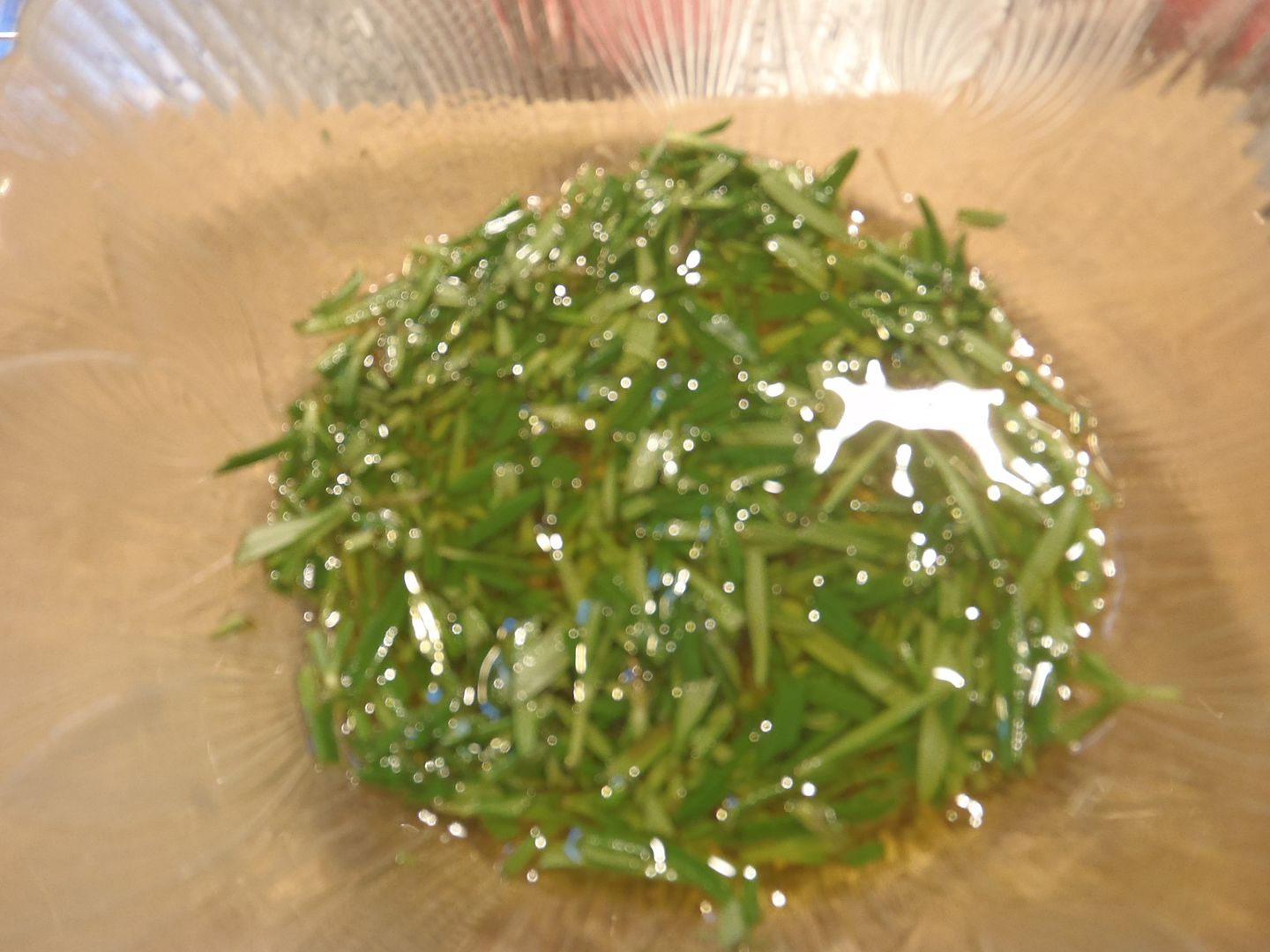 P8280006_zps57d6115d.jpg