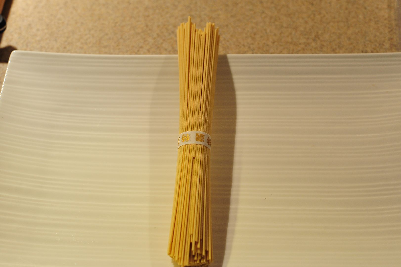 DSC_9860_zps00912f92.jpg