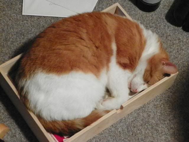 photo 001-11_zpse2027c74.jpg