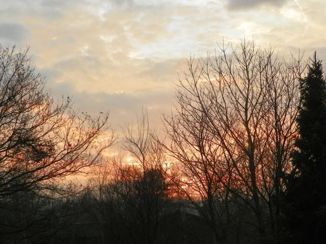 photo 001_zps0cdff382.jpg