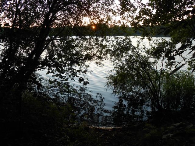 photo 001_zpsaea4279c.jpg