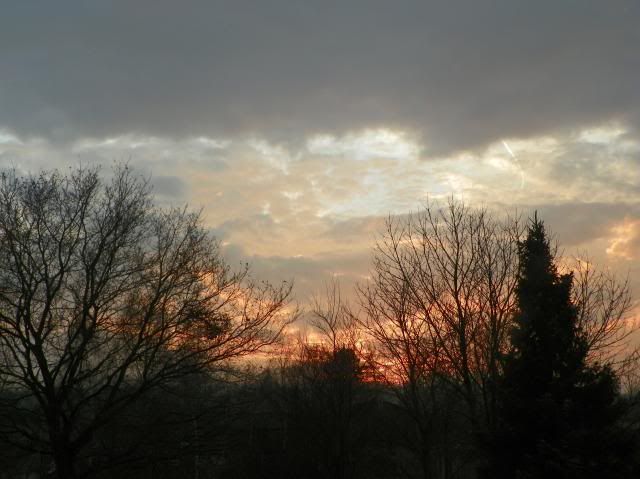 photo 002_zpsb8f1e41e.jpg