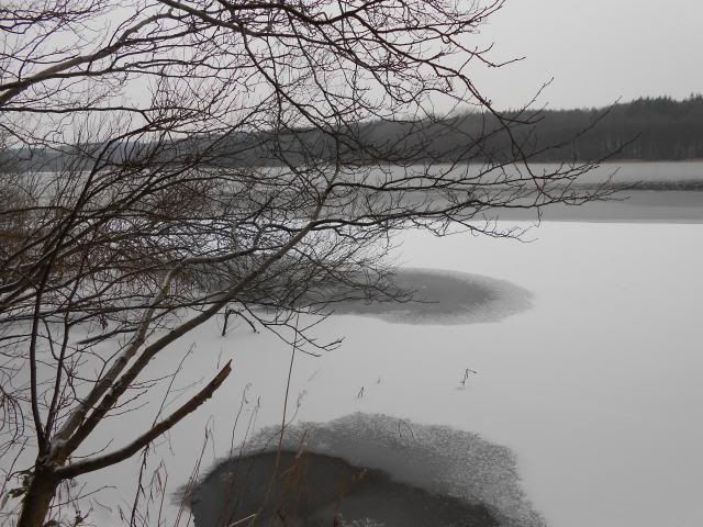 photo 003_zps07626cd8.jpg