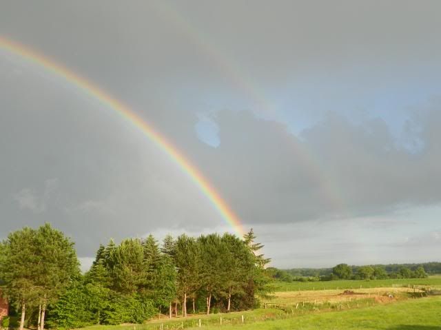 photo 003_zpscdaa1d3d.jpg
