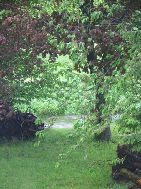 photo 004-14_zps9167d0ca.jpg