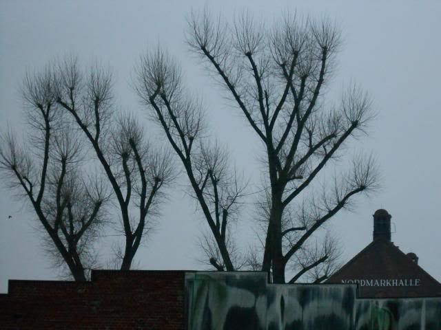 photo 004_zps802ea03d.jpg
