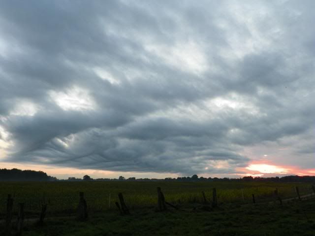photo 004_zpse0f85db5.jpg