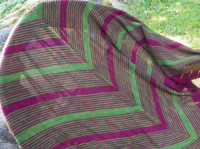 photo 005_zps95c7a17e.jpg