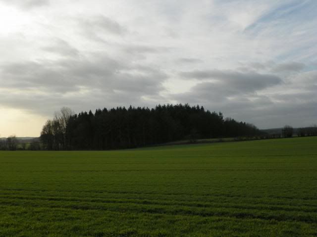 photo 006_zpsc382c152.jpg