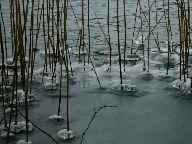 photo 007_zps710324f4.jpg