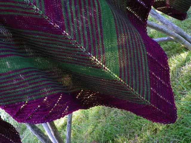 photo 007_zpsd9405ac7.jpg