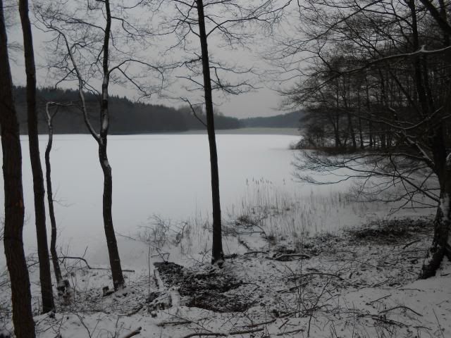photo 009_zps6a567236.jpg