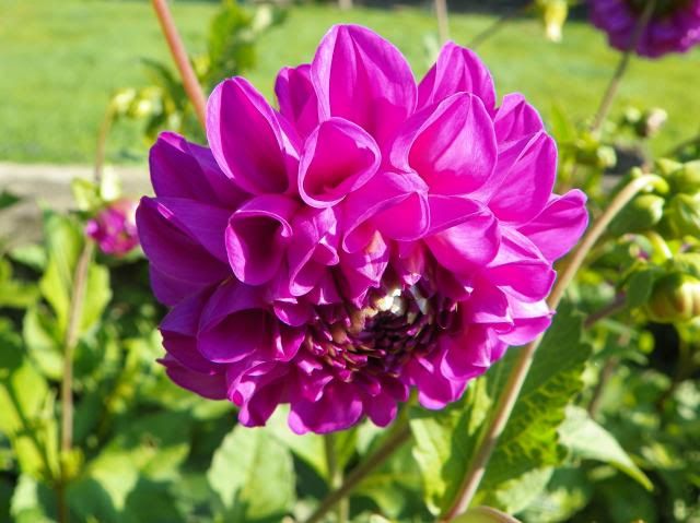 photo 011_zps5b2779cb.jpg