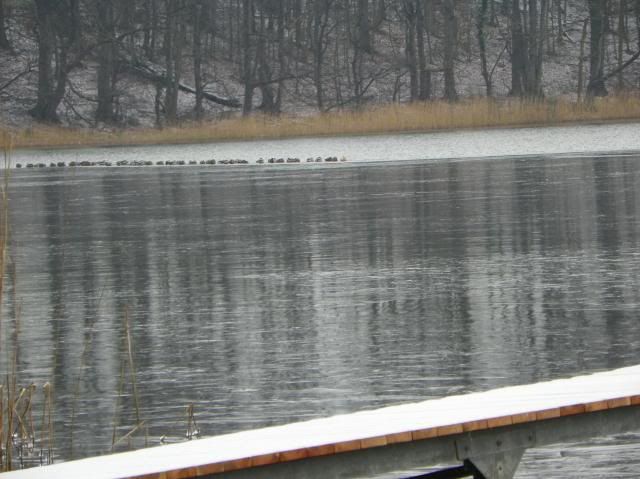 photo 012_zps31dc3ab8.jpg