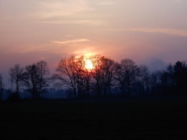 photo 016_zps436dd6b3.jpg