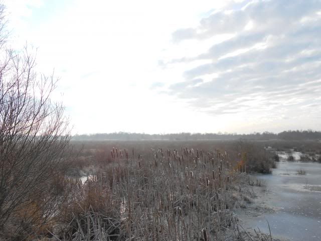 photo 024_zpsb33f0aea.jpg