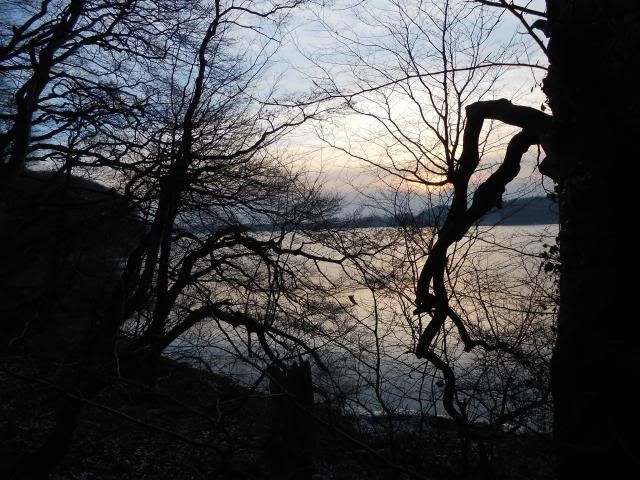 photo 026_zps1688aaf3.jpg