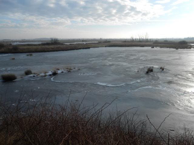 photo 033_zps130c15ab.jpg