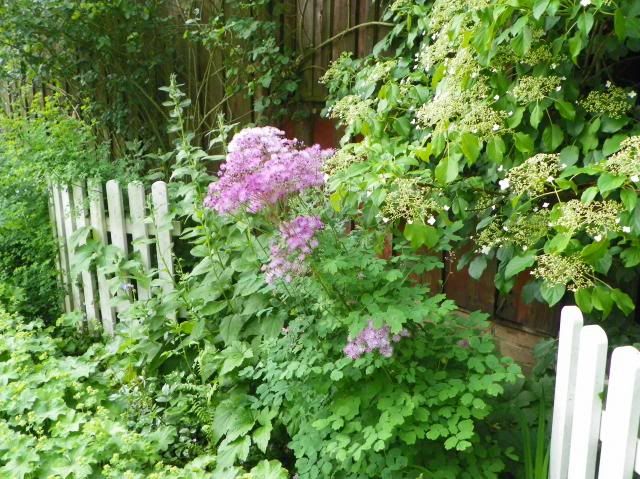 photo 039_zps37433a62.jpg