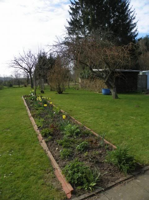 photo 130_zps426c620b.jpg