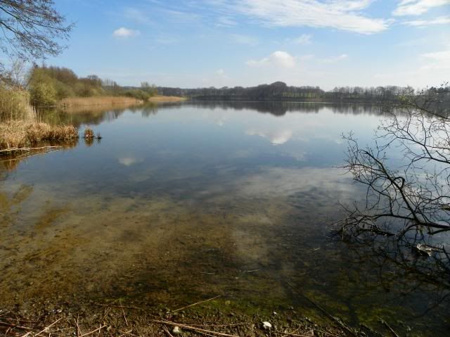 photo 142_zpsb8510377.jpg
