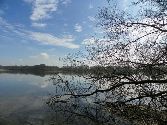 photo 143_zps85e37c9d.jpg
