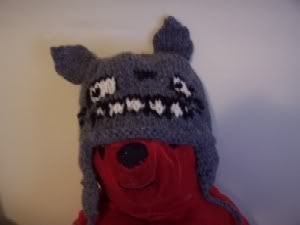 poony wearing the totoro hat