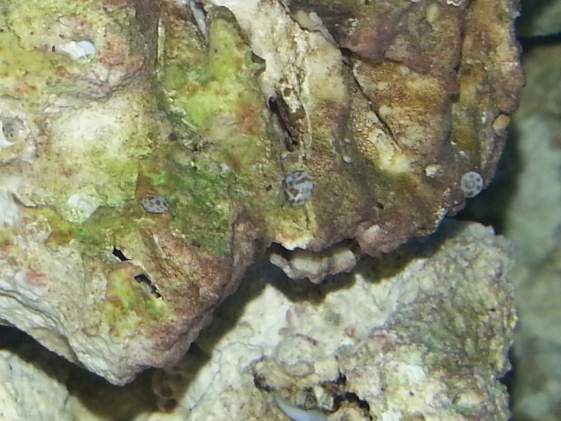 20121030_190306.jpg