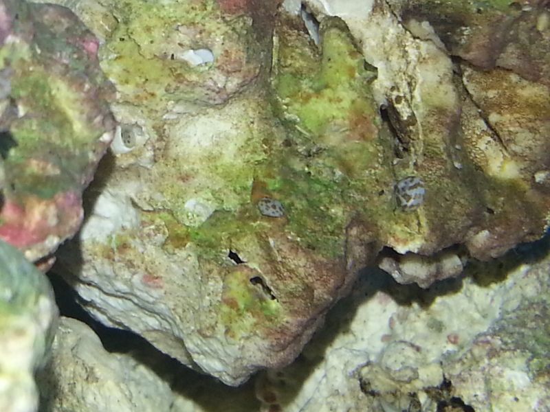 20121030_190312.jpg
