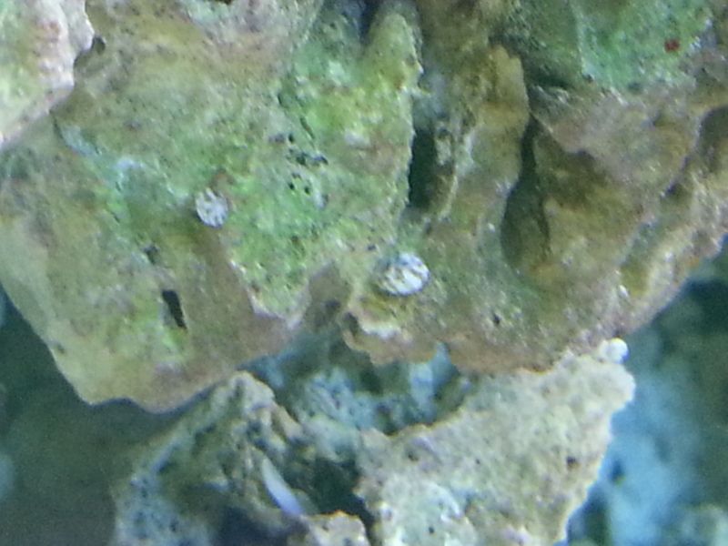 20121030_190427.jpg