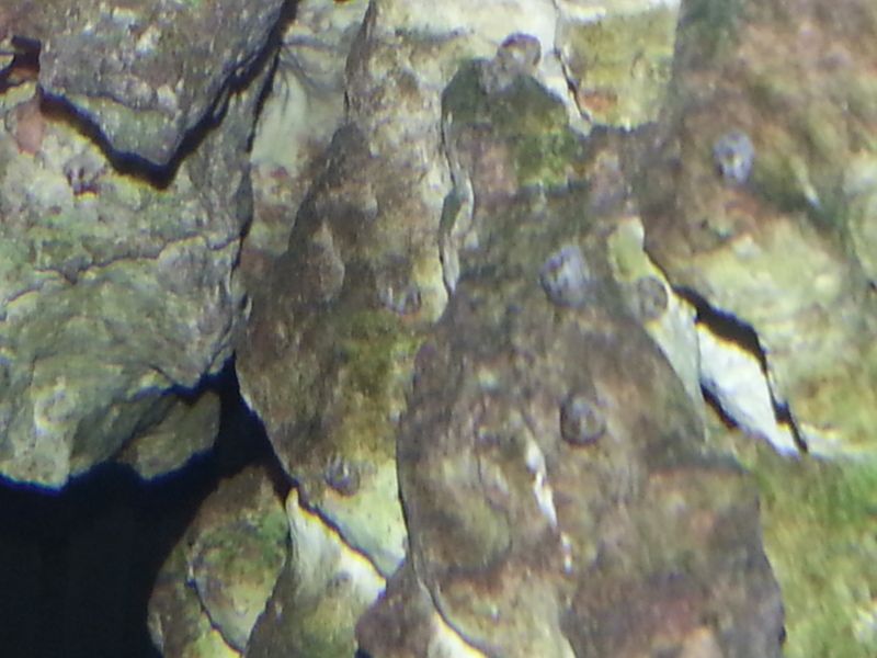 20121104_183257.jpg