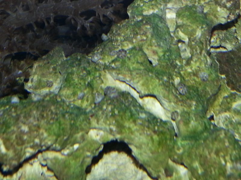 20121104_183327.jpg
