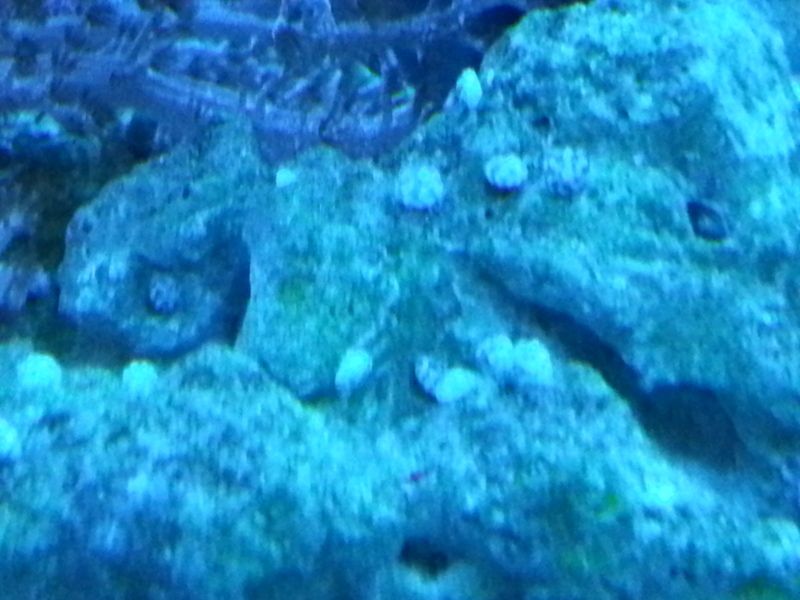 20121104_183344.jpg