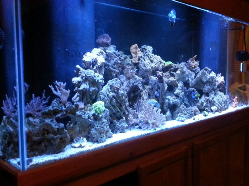 20121208_192403.jpg