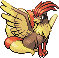 pidgeontails.gif