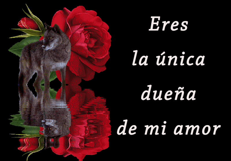  photo lobo_Marina_zps08euadsd.gif