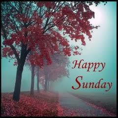 Happy Sunday Pictures, Images and Photos