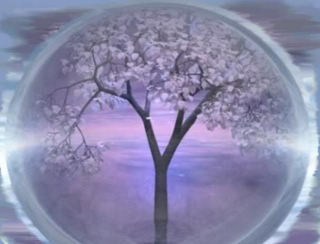 mystic tree Pictures, Images and Photos