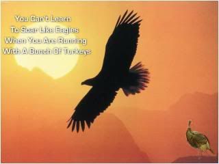 soar like eagles Pictures, Images and Photos