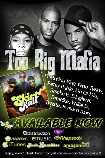 TooBig-FlyerDec2008.jpg