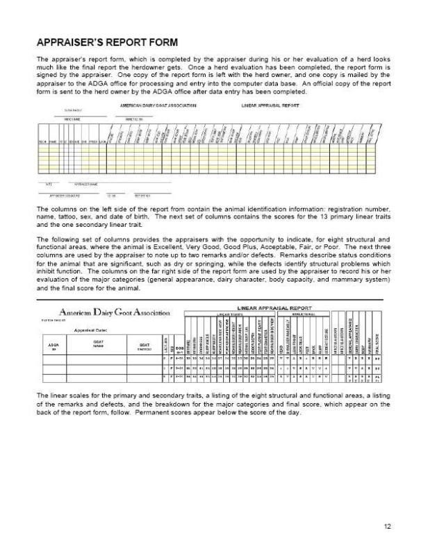 Here is Penny's udder before milking this morning. - Goats