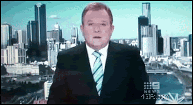 Giant_seagull_vs_reporter.gif