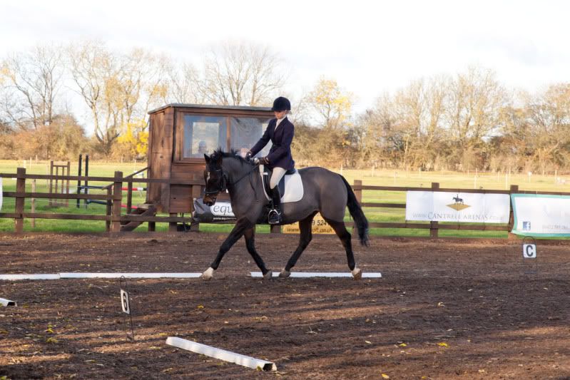 Tips for correcting head tilting? Horse and Hound Forum