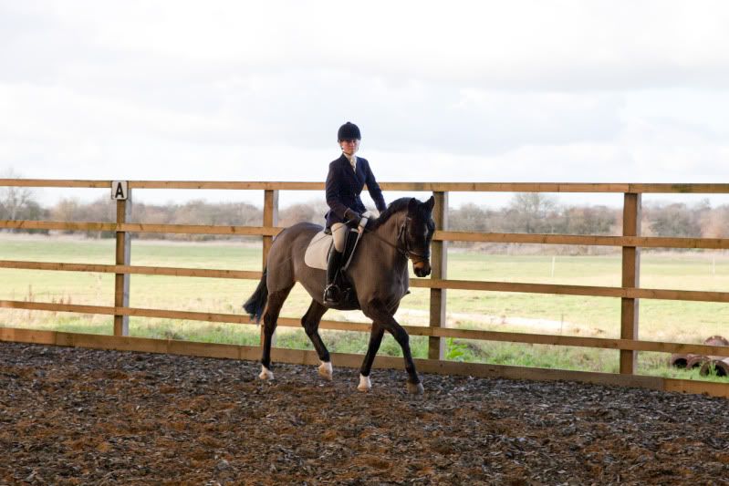 Tips for correcting head tilting? Horse and Hound Forum