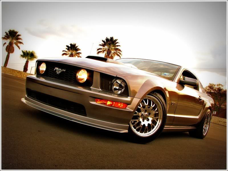 http://i46.photobucket.com/albums/f145/blkstang87/IMG_3632.jpg