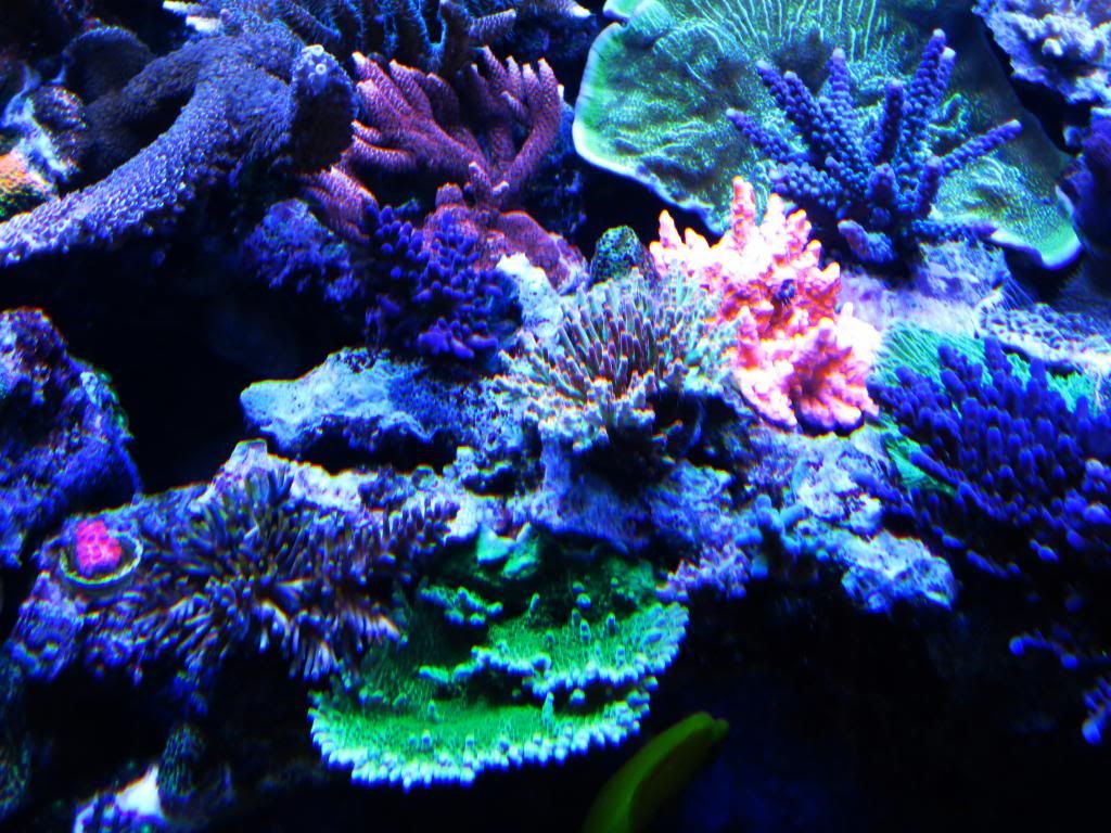 video030_zps48662012.jpg