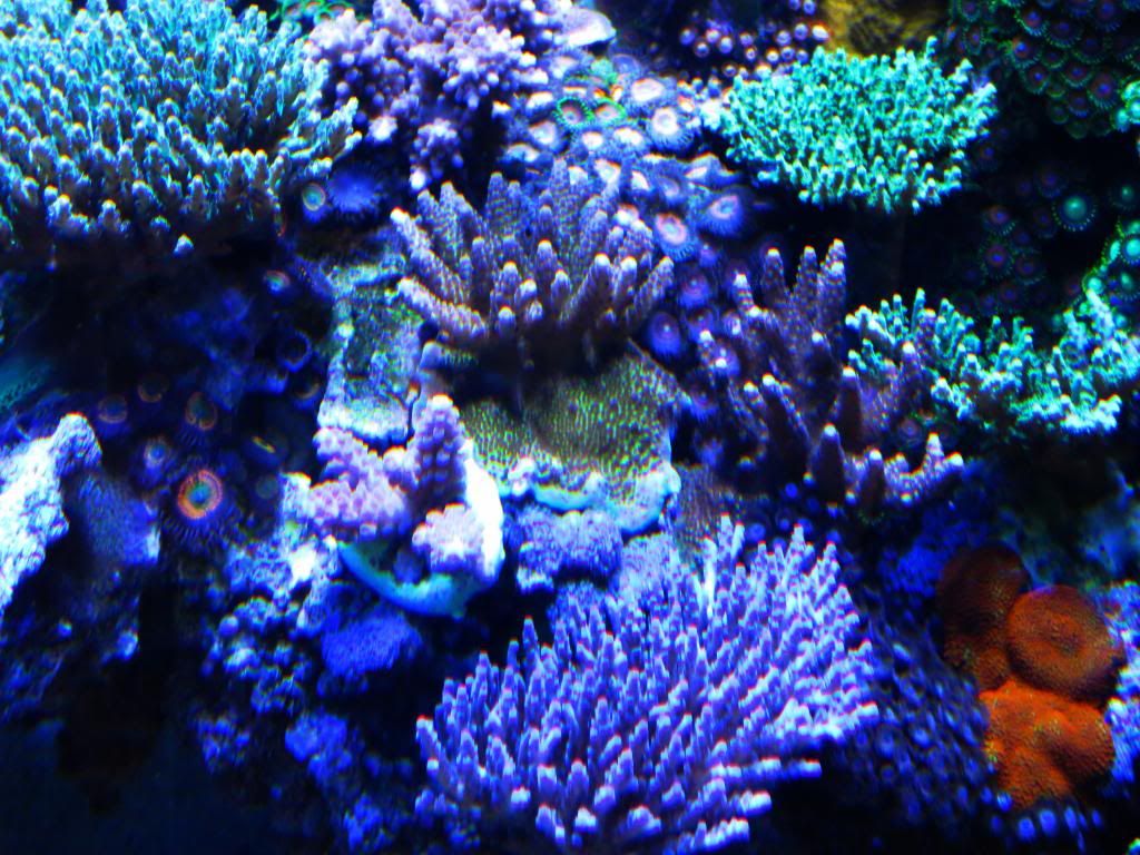 video031_zpsb44f90d9.jpg