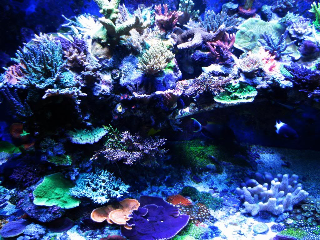 video039_zps6d45f6e1.jpg