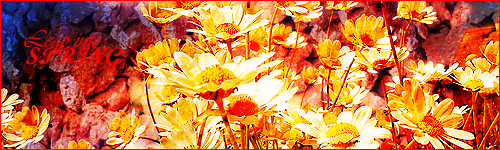 Leapin2springWARMsig.png
