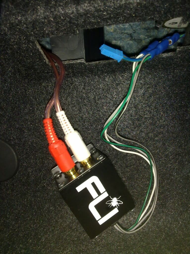 ve commodore speaker wiring